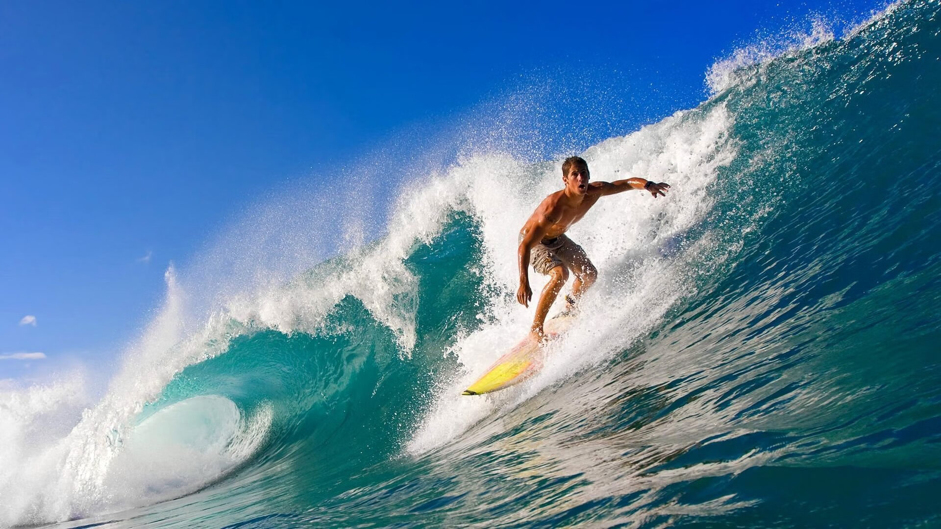 _顶级巡回赛：积分争夺战引发疯狂追逐_，巡回赛规则